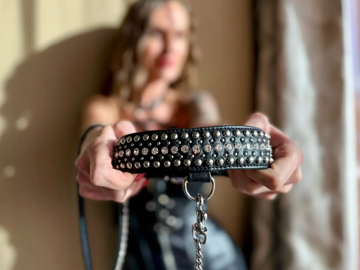 closeup of a studded leather collar with leash for submisive